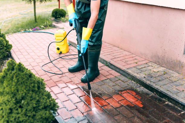 Best Roof Power Washing Services  in Fremont, OH