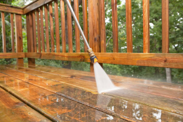 Best Exterior Home Cleaning  in Fremont, OH